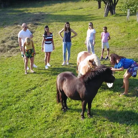 Pensiunea Silvanka Bed & Breakfast Vilcele (Covasna)