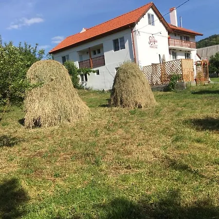 Bed & Breakfast Pensiunea Silvanka