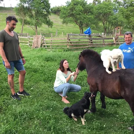 Pensiunea Silvanka * Vilcele (Covasna)