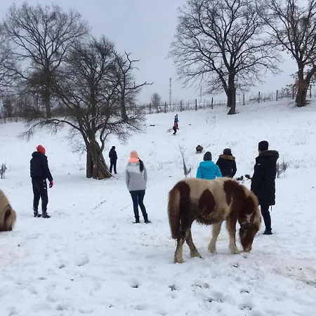 Pensiunea Silvanka Vilcele (Covasna)
