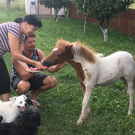 Pensiunea Silvanka * Vilcele (Covasna)