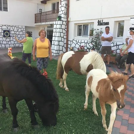 Pensiunea Silvanka * Vilcele (Covasna)
