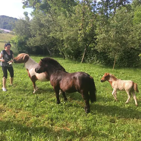 Pensiunea Silvanka * Vilcele (Covasna)