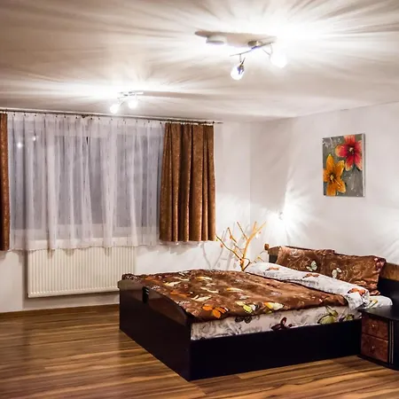 Pensiunea Silvanka Bed & Breakfast
