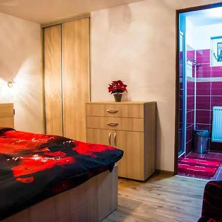 Bed & Breakfast Pensiunea Silvanka *