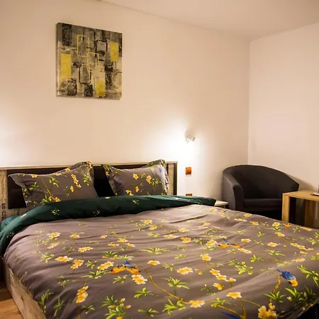 Bed & Breakfast Pensiunea Silvanka